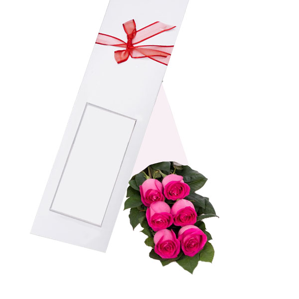 Caja de 6 Rosas rosadas